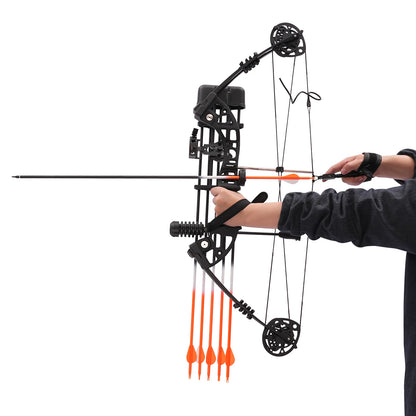 Compound Bow Kit