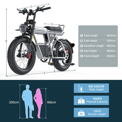 Wide Wheel Electric Bicycle